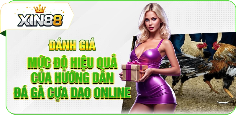 Đánh giá mức độ hiệu quả của hướng dẫn đá gạ cựa dao online