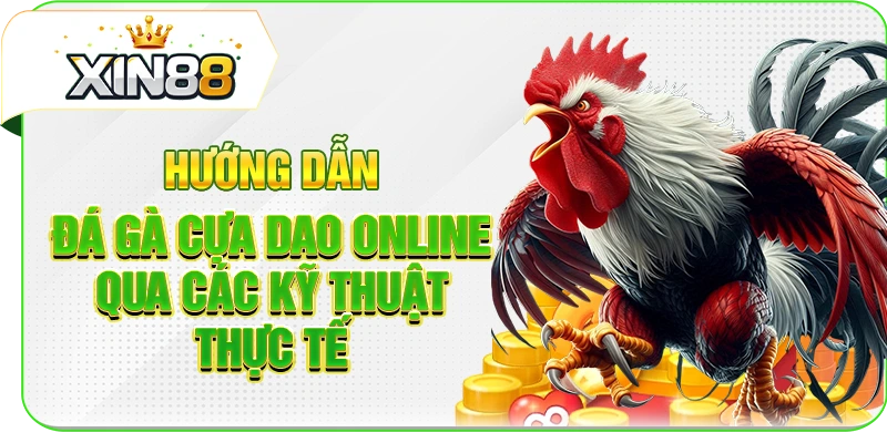 Hướng dẫn đá gà cựa dao online qua các kỹ thuật thực tế