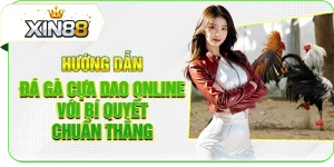 Hướng Dẫn Đá Gà Cựa Dao Online Với Bí Quyết Chuẩn Thắng
