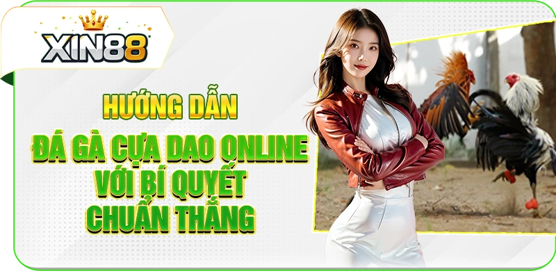 Hướng Dẫn Đá Gà Cựa Dao Online Với Bí Quyết Chuẩn Thắng