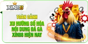 Toàn Cảnh Xu Hướng Số Hóa Nội Dung Đá Gà XIN88 Hiện Nay