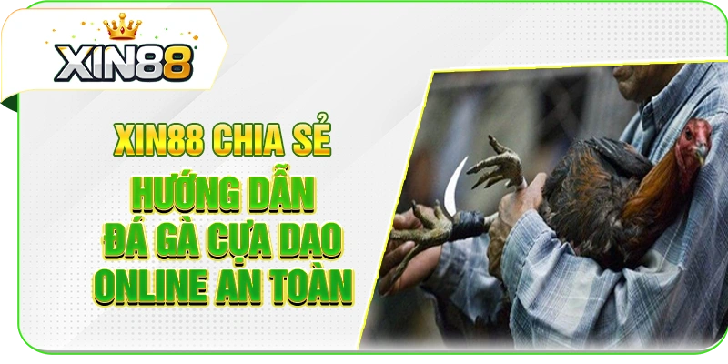 XIN88 chia sẻ hướng dẫn đá gà cựa dao online an toàn