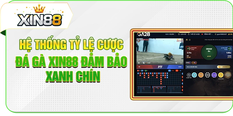 Hệ thống tỷ lệ cược đá gà XIN88 đảm bảo xanh chín