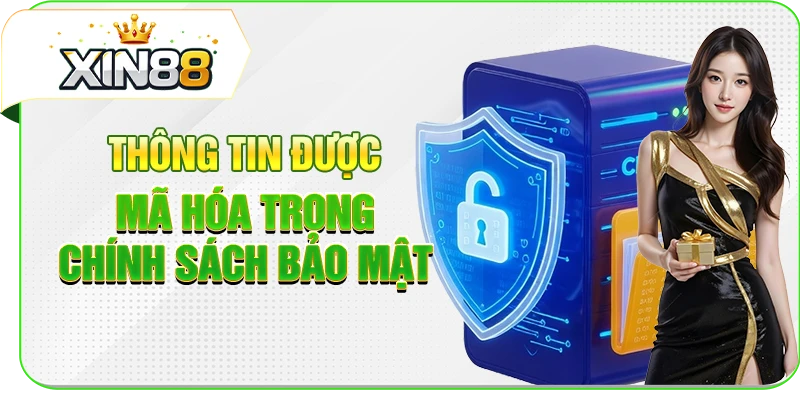 Thông tin được mã hóa trong chính sách bảo mật