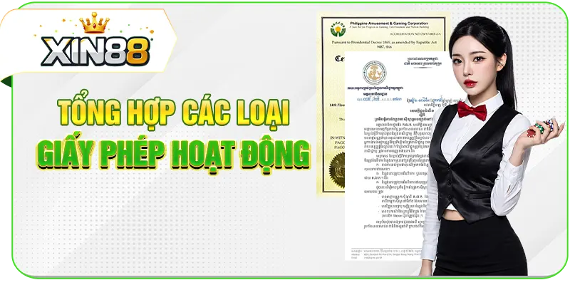 Tổng hợp các loại giấy phép hoạt động